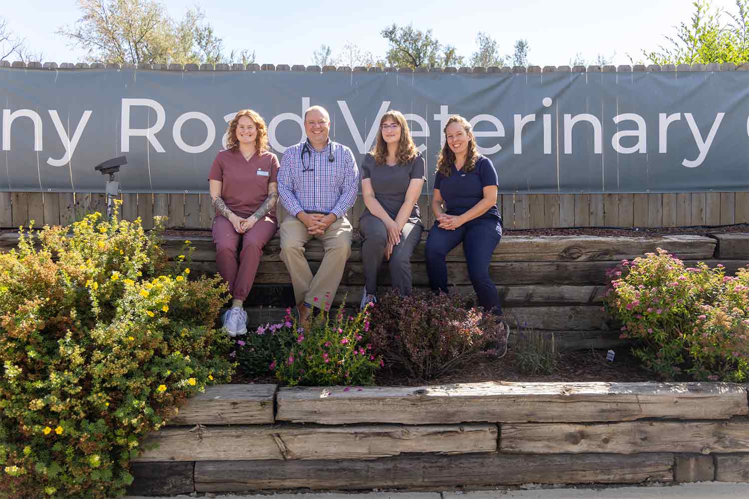 HighQuality Vet Hospital in Fort Collins, CO Harmony Road Veterinary